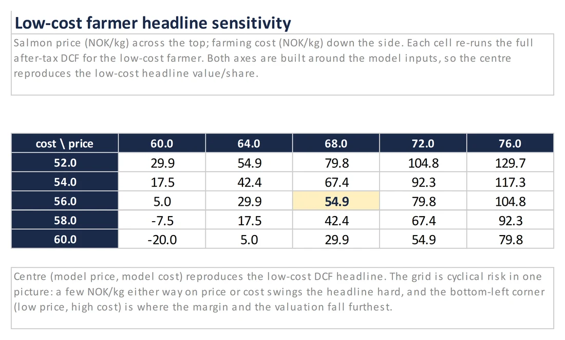 Sample view from the Aquaculture Sector Primer Excel model