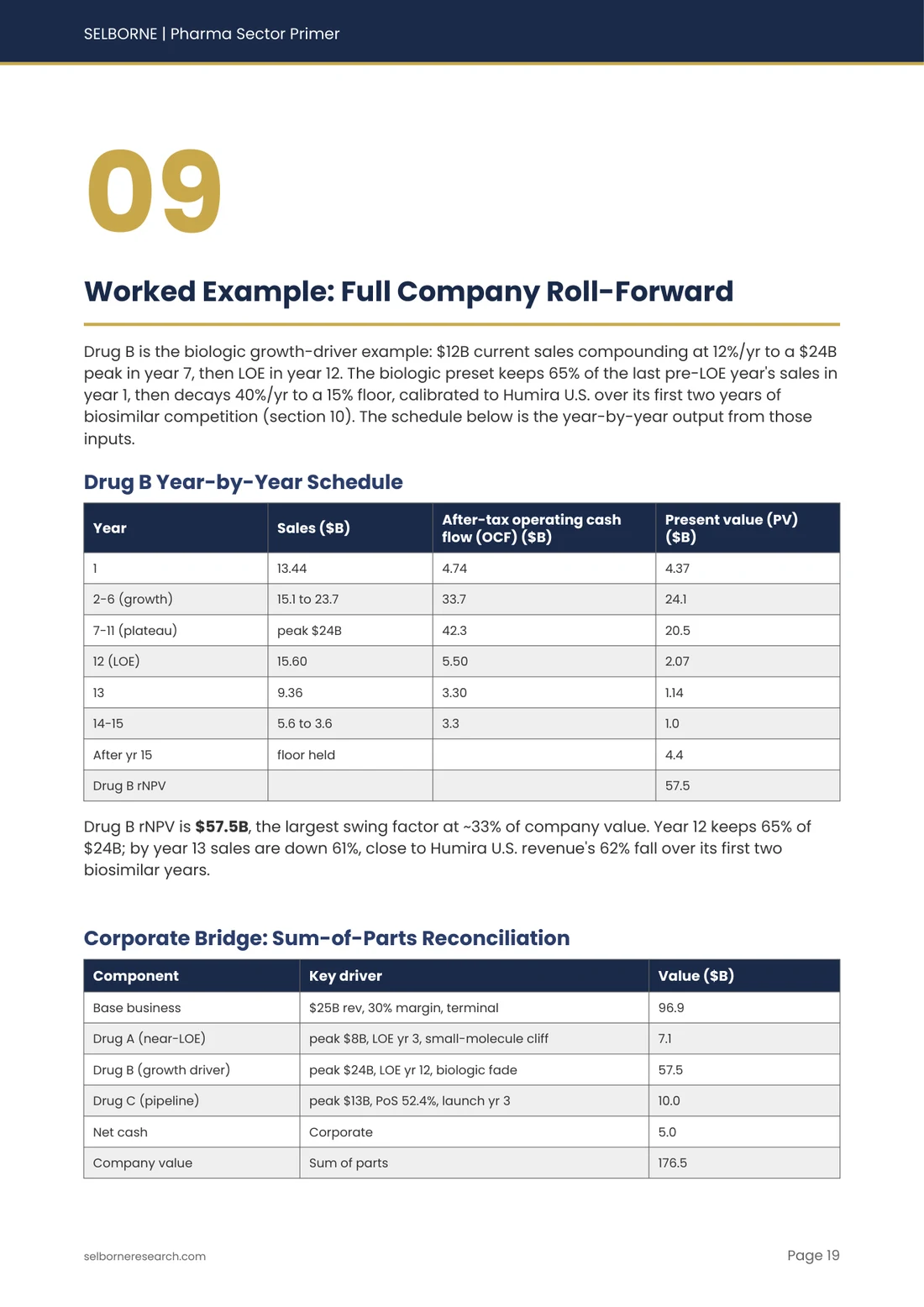 Sample page from the Pharmaceuticals Sector Primer